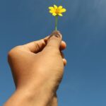 「小さな達成感」を毎日の喜びに。大人の女性が生き生きと満たされる、しなやかな心の整え方